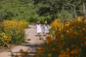 children, girls, flowers